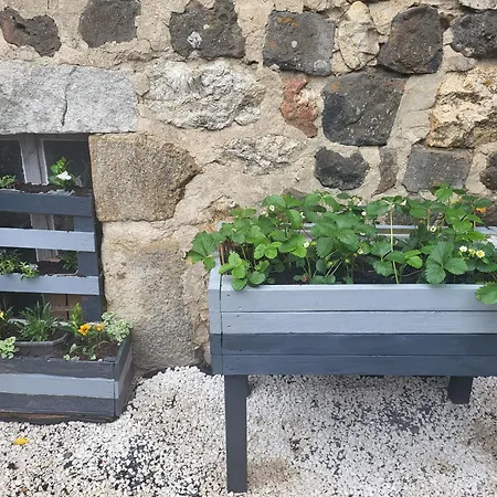 Maison D´hôtes La Dromandise